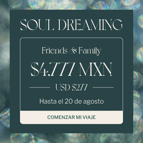 SOULDREAMING WORKSHOP FRIENDS AND FAMILY