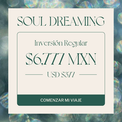 SOULDREAMING WORKSHOP