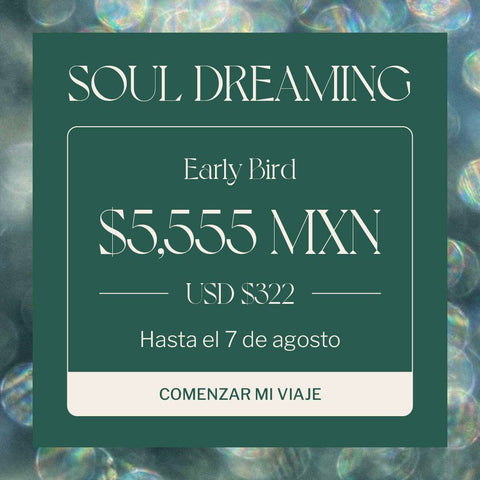 SOULDREAMING WORKSHOP EARLY BIRD