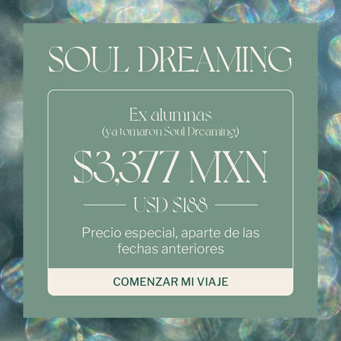 SOULDREAMING WORKSHOP ALUMNI