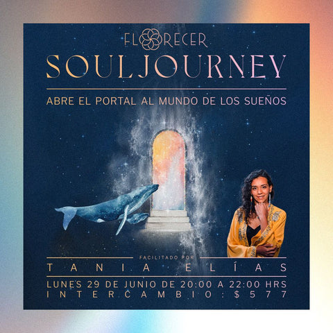 SOUL JOURNEY