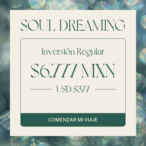 SOULDREAMING WORKSHOP