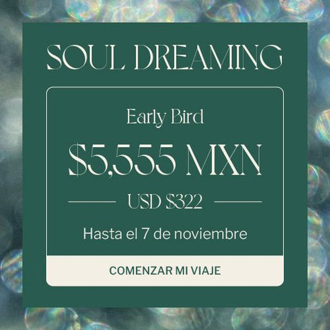 SOULDREAMING WORKSHOP EARLY BIRD